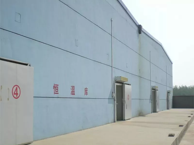 Gudang Cold Storage Struktur Baja