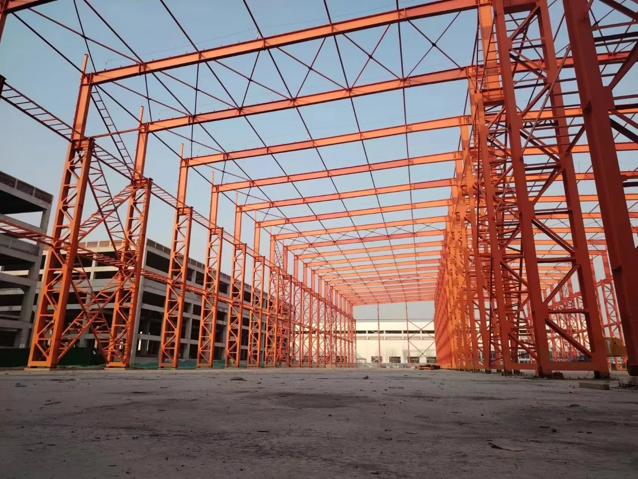 Baja Hangar Hangar