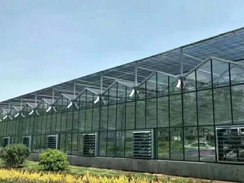 Baja Vertikal Farm